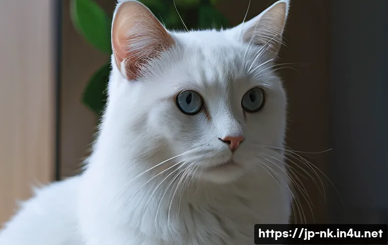 나이트크로우 초보와 고수 차이 관련 이미지 1